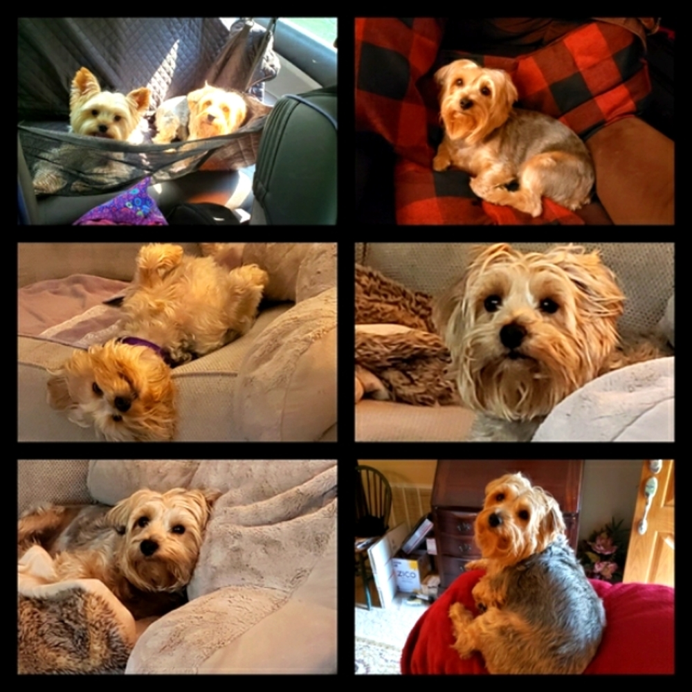 Rescue Updates... - Picture 8 of 13